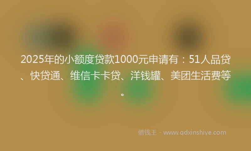 2025年的小额度贷款1000元申请有：51人品贷、快贷通、维信卡卡贷、洋钱罐、美团生活费等。