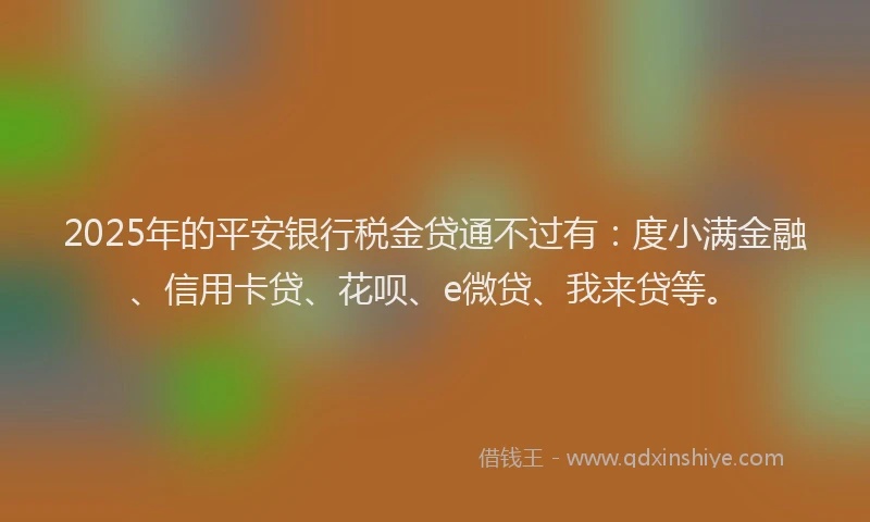 2025年的平安银行税金贷通不过有：度小满金融、信用卡贷、花呗、e微贷、我来贷等。