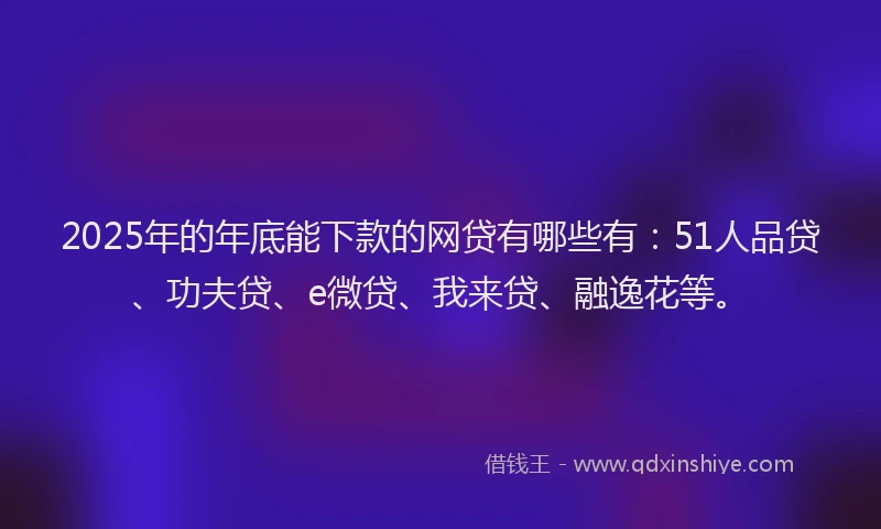 2025年的年底能下款的网贷有哪些有：51人品贷、功夫贷、e微贷、我来贷、融逸花等。