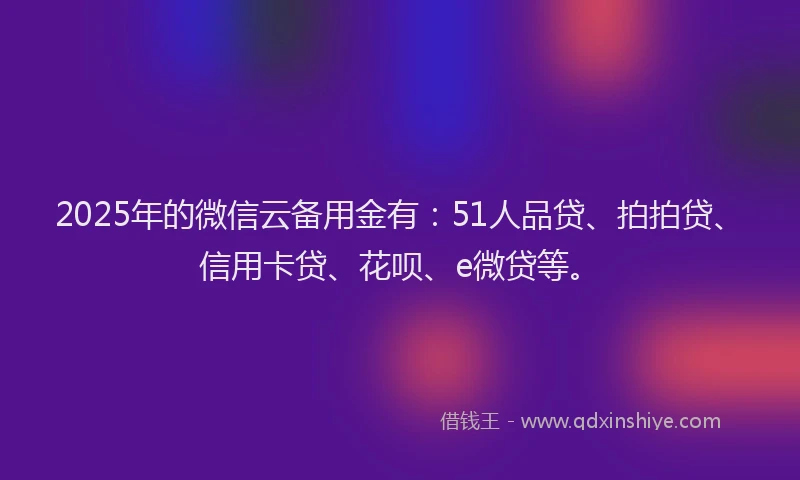 2025年的微信云备用金有：51人品贷、拍拍贷、信用卡贷、花呗、e微贷等。