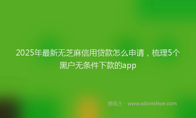 2025年最新无芝麻信用贷款怎么申请，梳理5个黑户无条件下款的app
