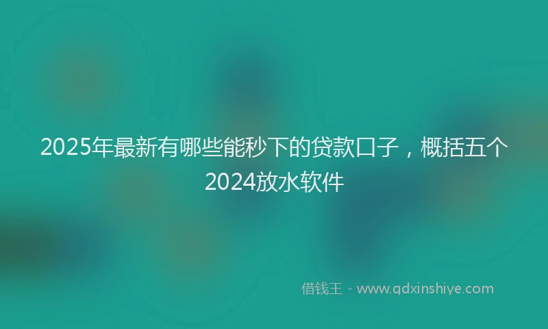 2025年最新有哪些能秒下的贷款口子，概括五个2024放水软件