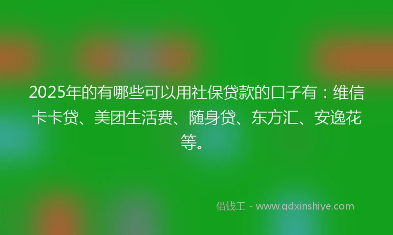 2025年的有哪些可以用社保贷款的口子有：维信卡卡贷、美团生活费、随身贷、东方汇、安逸花等。