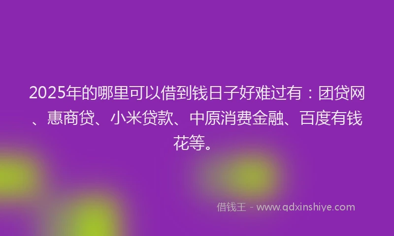 2025年的哪里可以借到钱日子好难过有：团贷网、惠商贷、小米贷款、中原消费金融、百度有钱花等。