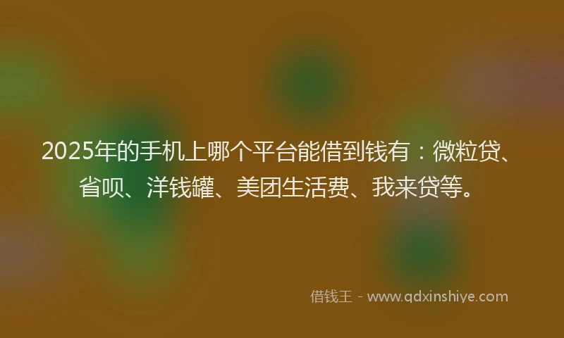 2025年的手机上哪个平台能借到钱有：微粒贷、省呗、洋钱罐、美团生活费、我来贷等。