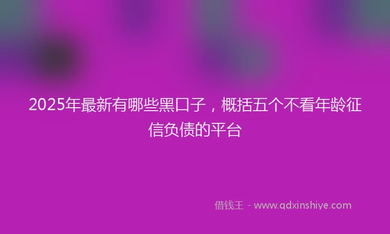 2025年最新有哪些黑口子，概括五个不看年龄征信负债的平台