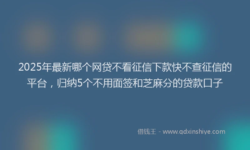 2025年最新哪个网贷不看征信下款快不查征信的平台，归纳5个不用面签和芝麻分的贷款口子