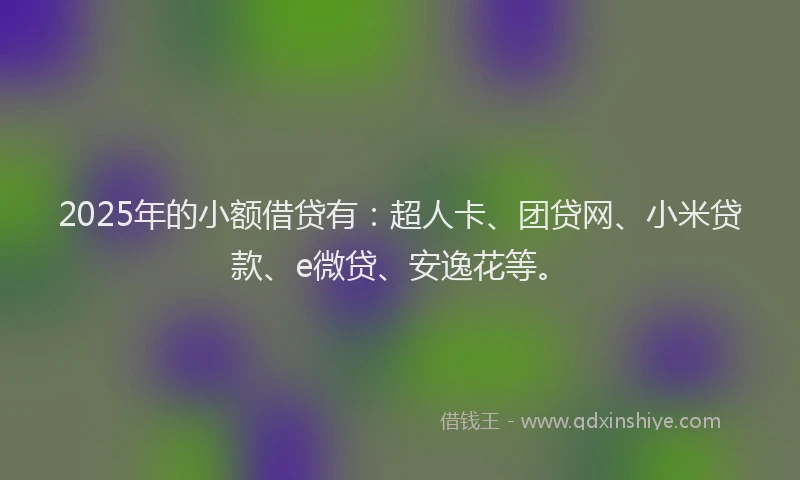 2025年的小额借贷有：超人卡、团贷网、小米贷款、e微贷、安逸花等。