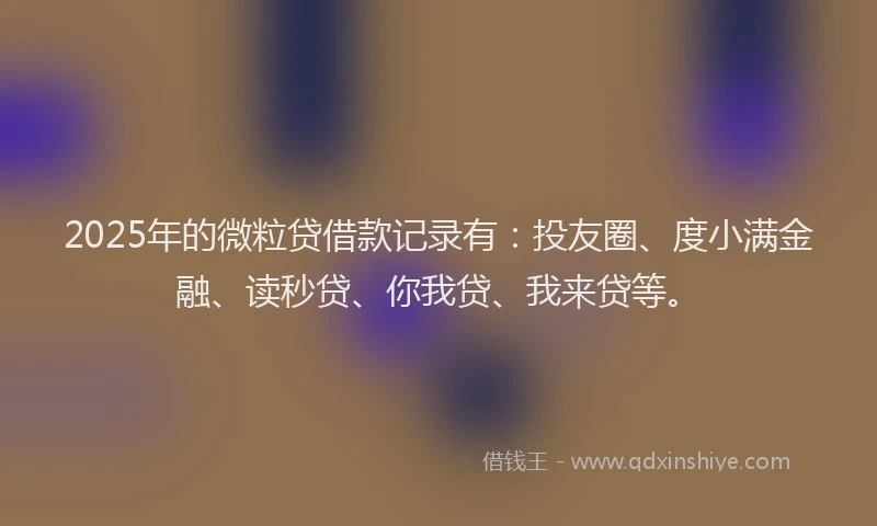 2025年的微粒贷借款记录有：投友圈、度小满金融、读秒贷、你我贷、我来贷等。