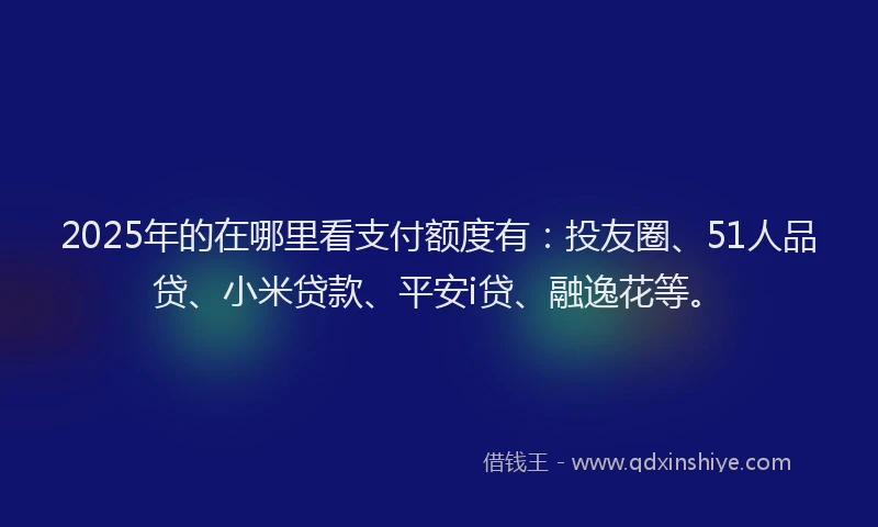 2025年的在哪里看支付额度有：投友圈、51人品贷、小米贷款、平安i贷、融逸花等。