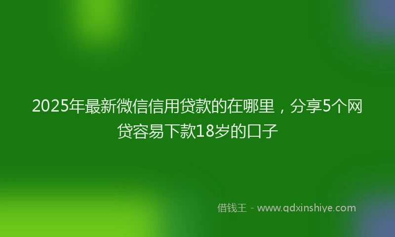 2025年最新微信信用贷款的在哪里，分享5个网贷容易下款18岁的口子
