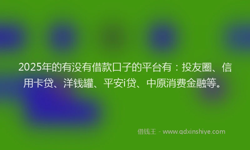 2025年的有没有借款口子的平台有：投友圈、信用卡贷、洋钱罐、平安i贷、中原消费金融等。