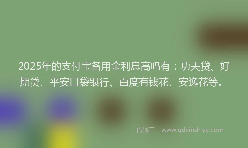2025年的支付宝备用金利息高吗有：功夫贷、好期贷、平安口袋银行、百度有钱花、安逸花等。