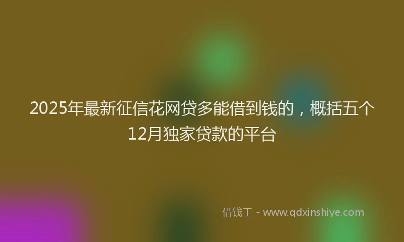 2025年最新征信花网贷多能借到钱的，概括五个12月独家贷款的平台