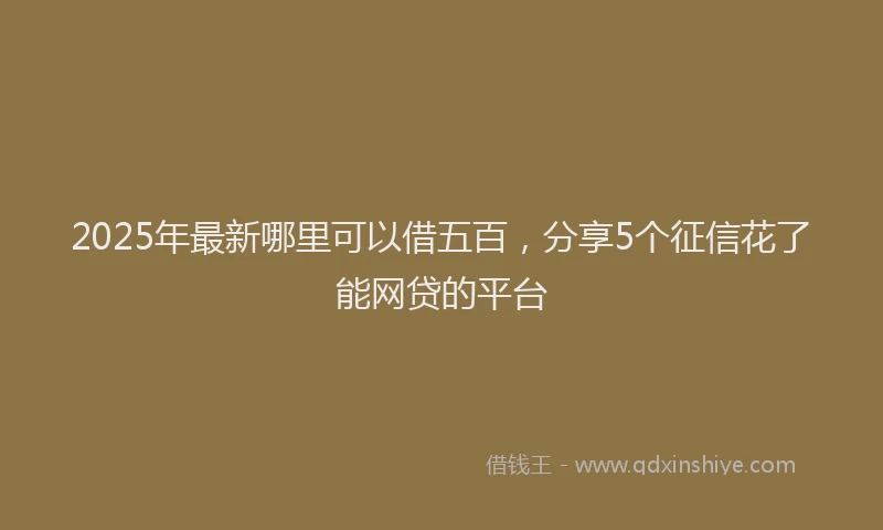 2025年最新哪里可以借五百，分享5个征信花了能网贷的平台