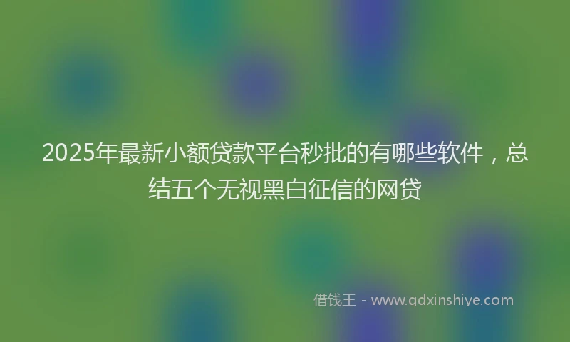 2025年最新小额贷款平台秒批的有哪些软件，总结五个无视黑白征信的网贷