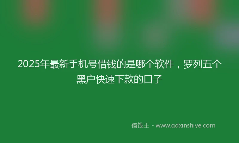 2025年最新手机号借钱的是哪个软件，罗列五个黑户快速下款的口子