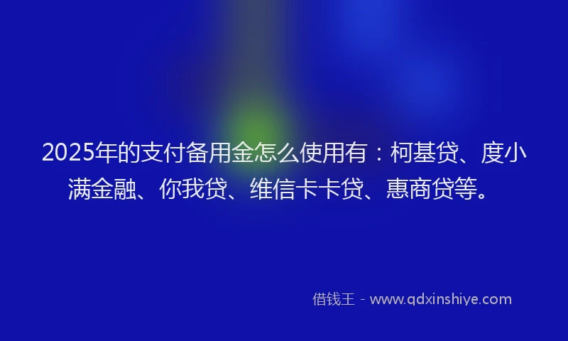 2025年的支付备用金怎么使用有：柯基贷、度小满金融、你我贷、维信卡卡贷、惠商贷等。