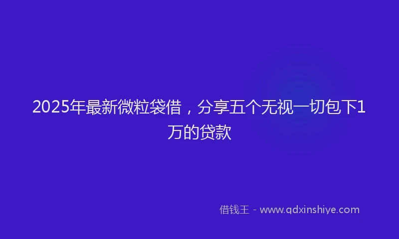 2025年最新微粒袋借，分享五个无视一切包下1万的贷款