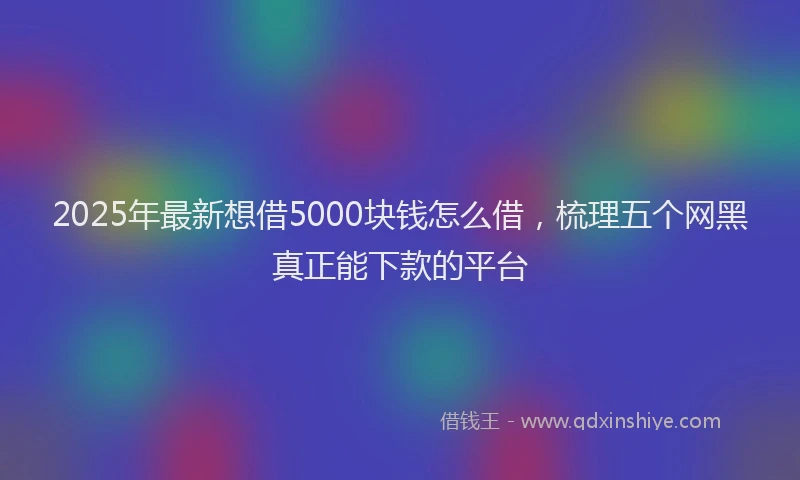 2025年最新想借5000块钱怎么借，梳理五个网黑真正能下款的平台