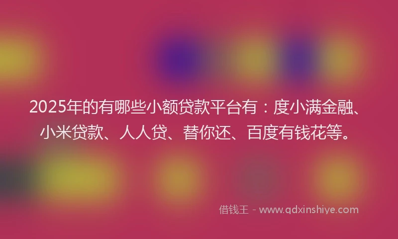 2025年的有哪些小额贷款平台有：度小满金融、小米贷款、人人贷、替你还、百度有钱花等。