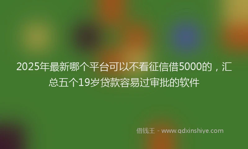 2025年最新哪个平台可以不看征信借5000的，汇总五个19岁贷款容易过审批的软件