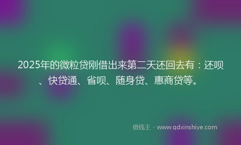 2025年的微粒贷刚借出来第二天还回去有：还呗、快贷通、省呗、随身贷、惠商贷等。