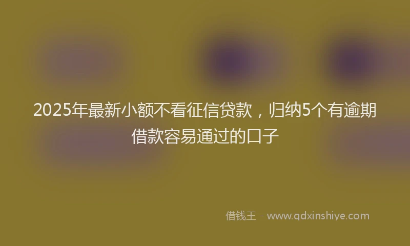 2025年最新小额不看征信贷款，归纳5个有逾期借款容易通过的口子