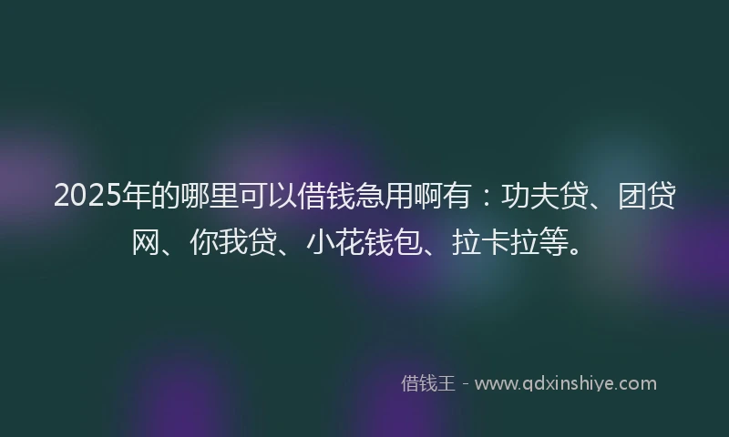 2025年的哪里可以借钱急用啊有：功夫贷、团贷网、你我贷、小花钱包、拉卡拉等。