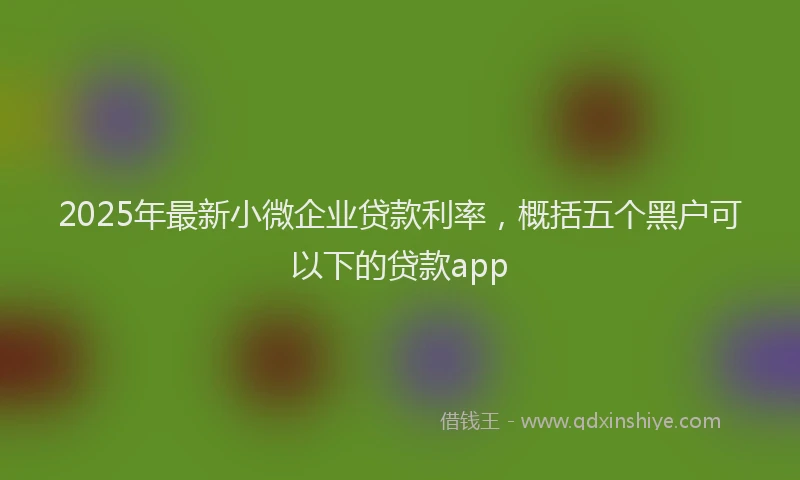 2025年最新小微企业贷款利率，概括五个黑户可以下的贷款app