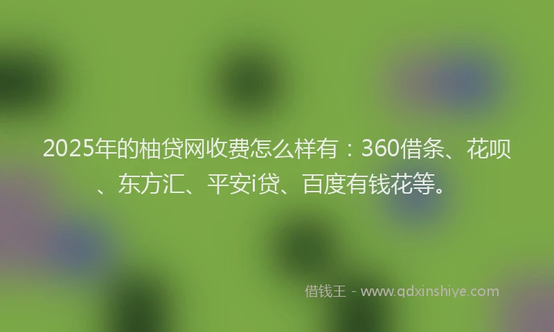 2025年的柚贷网收费怎么样有：360借条、花呗、东方汇、平安i贷、百度有钱花等。