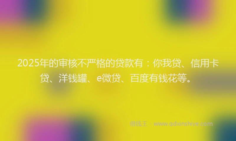 2025年的审核不严格的贷款有：你我贷、信用卡贷、洋钱罐、e微贷、百度有钱花等。