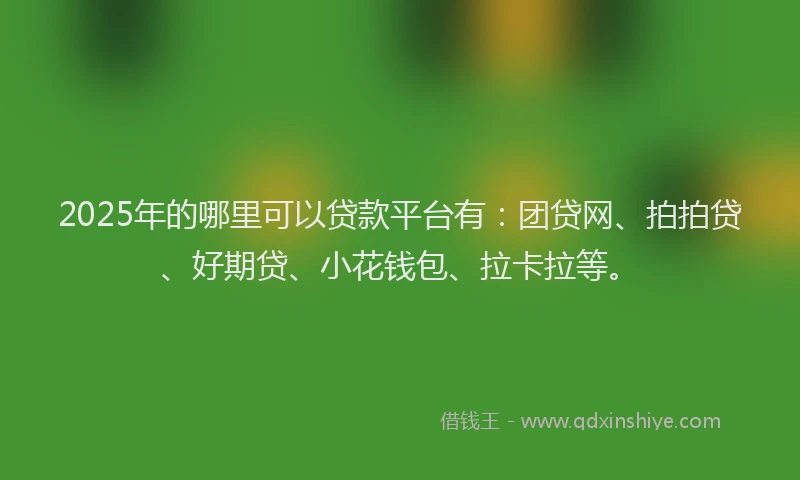2025年的哪里可以贷款平台有：团贷网、拍拍贷、好期贷、小花钱包、拉卡拉等。