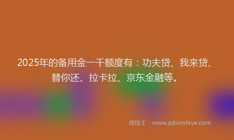 2025年的备用金一千额度有：功夫贷、我来贷、替你还、拉卡拉、京东金融等。