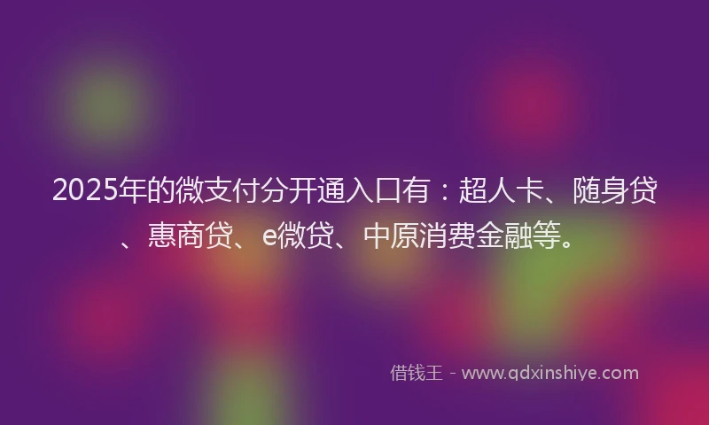 2025年的微支付分开通入口有：超人卡、随身贷、惠商贷、e微贷、中原消费金融等。