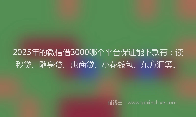 2025年的微信借3000哪个平台保证能下款有：读秒贷、随身贷、惠商贷、小花钱包、东方汇等。