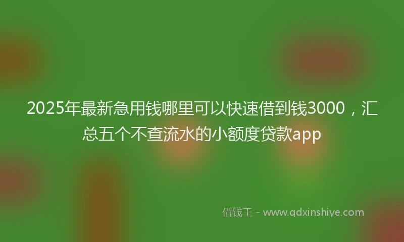 2025年最新急用钱哪里可以快速借到钱3000，汇总五个不查流水的小额度贷款app