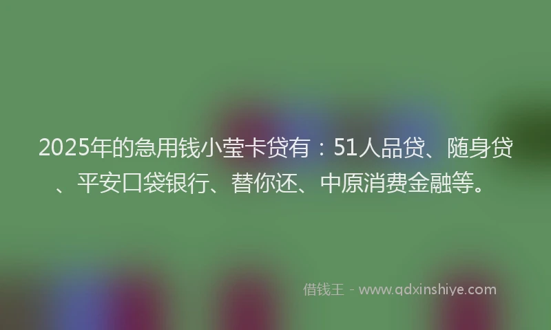 2025年的急用钱小莹卡贷有：51人品贷、随身贷、平安口袋银行、替你还、中原消费金融等。