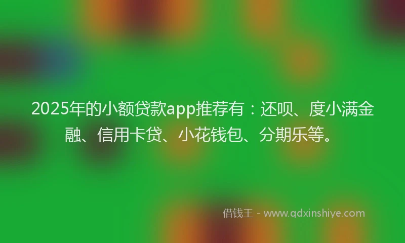 2025年的小额贷款app推荐有：还呗、度小满金融、信用卡贷、小花钱包、分期乐等。