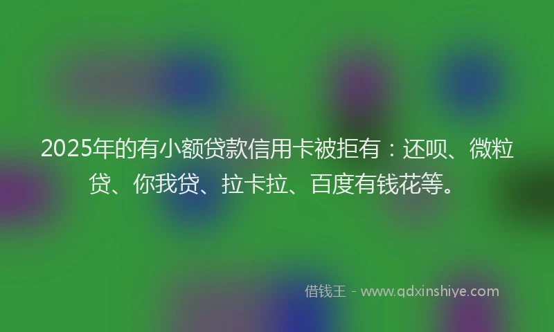 2025年的有小额贷款信用卡被拒有：还呗、微粒贷、你我贷、拉卡拉、百度有钱花等。