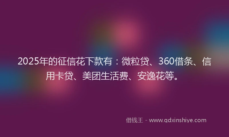 2025年的征信花下款有：微粒贷、360借条、信用卡贷、美团生活费、安逸花等。