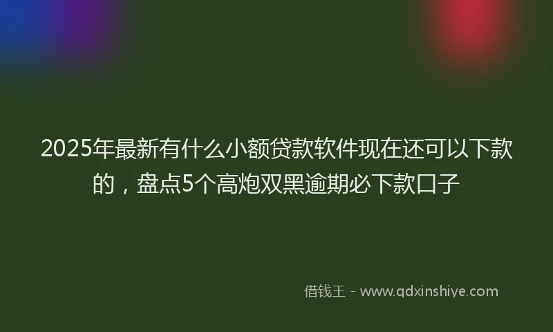 2025年最新有什么小额贷款软件现在还可以下款的，盘点5个高炮双黑逾期必下款口子