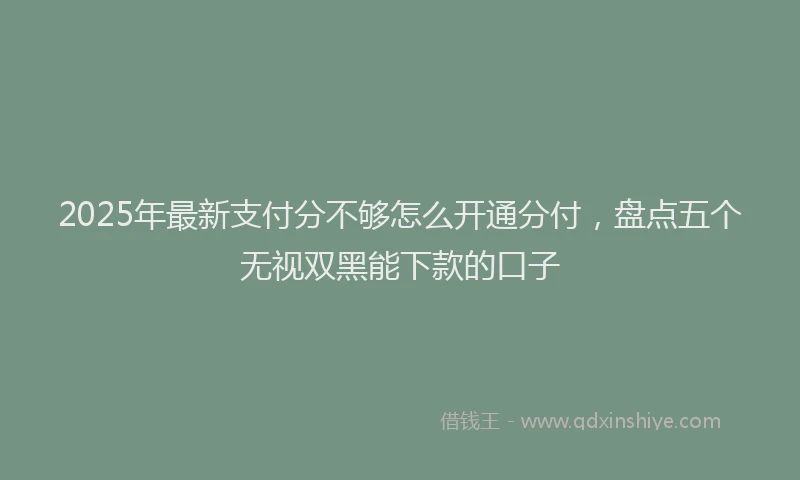 2025年最新支付分不够怎么开通分付，盘点五个无视双黑能下款的口子