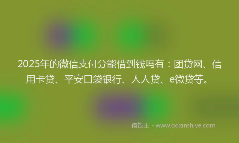 2025年的微信支付分能借到钱吗有：团贷网、信用卡贷、平安口袋银行、人人贷、e微贷等。