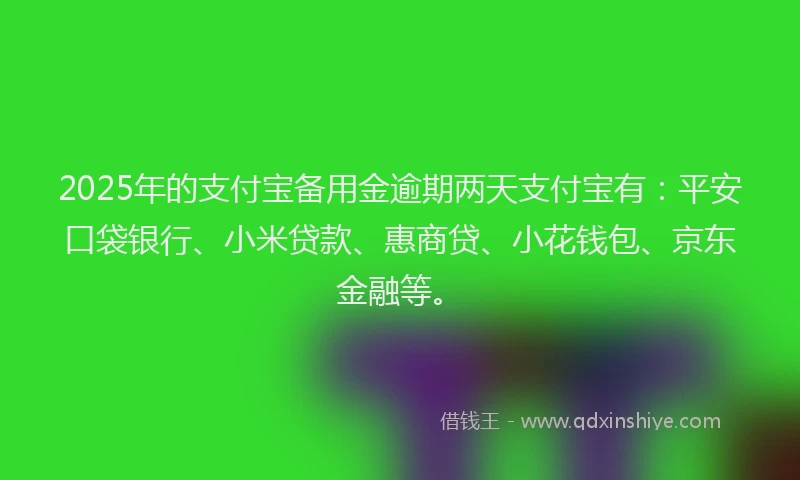 2025年的支付宝备用金逾期两天支付宝有：平安口袋银行、小米贷款、惠商贷、小花钱包、京东金融等。