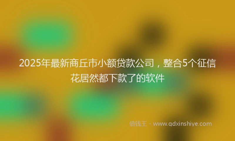 2025年最新商丘市小额贷款公司，整合5个征信花居然都下款了的软件