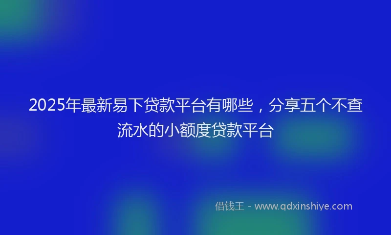 2025年最新易下贷款平台有哪些，分享五个不查流水的小额度贷款平台