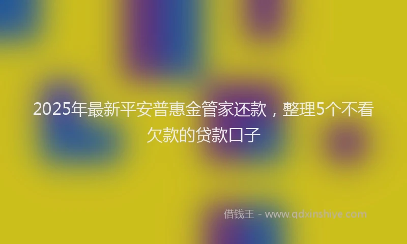 2025年最新平安普惠金管家还款，整理5个不看欠款的贷款口子