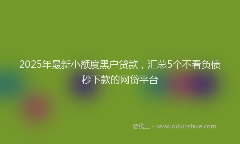 2025年最新小额度黑户贷款，汇总5个不看负债秒下款的网贷平台