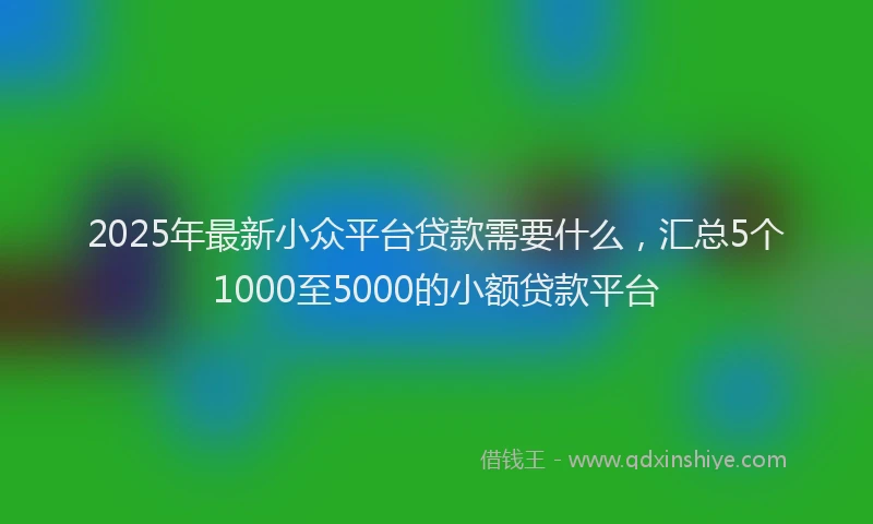 2025年最新小众平台贷款需要什么，汇总5个1000至5000的小额贷款平台